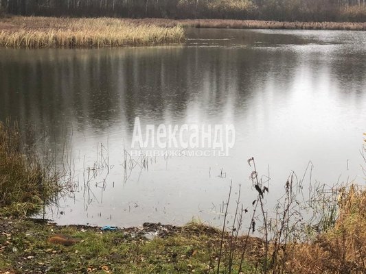 Продам участок 2 460 соток, ИЖС, Камышовка д, 124 км от города