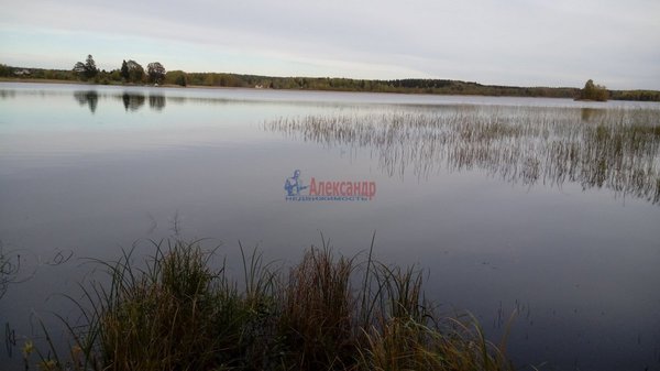 Продам участок 11,19 соток, ИЖС, Бор п, 133 км от города