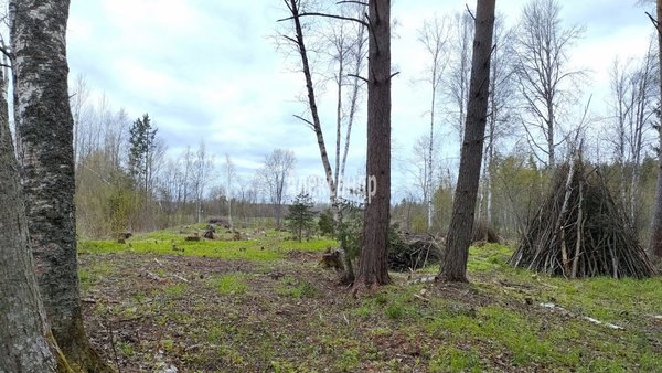 Продам участок 20 соток, ДНП, Озерный берег ул, 22, Беличье п, 141 км от города