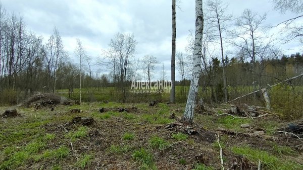 Продам участок 20 соток, ДНП, Озерный берег ул, 22, Беличье п, 141 км от города