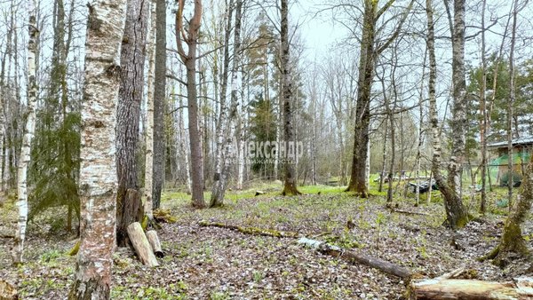 Продам участок 20 соток, ДНП, Озерный берег ул, 22, Беличье п, 141 км от города