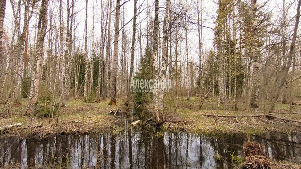 Продам участок 20 соток, ДНП, Озерный берег ул, 22, Беличье п, 141 км от города