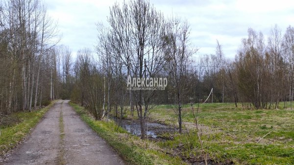 Продам участок 20 соток, ДНП, Озерный берег ул, 22, Беличье п, 141 км от города