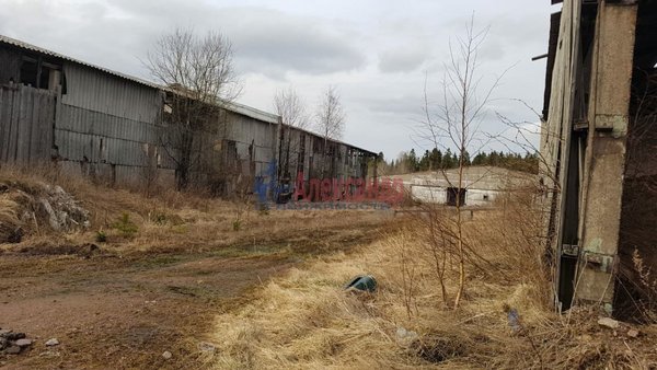 Продам участок 100 соток, ЛПХ, Тихий пер, Селезнево п, 160 км от города