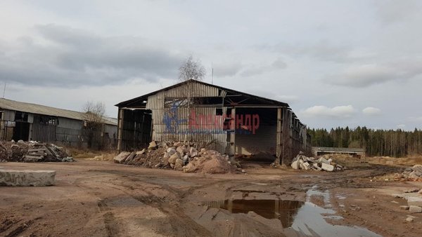 Продам участок 100 соток, ЛПХ, Тихий пер, Селезнево п, 160 км от города
