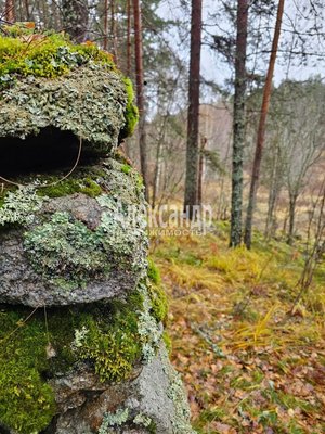 Продам участок 15 соток, Садоводство, Хаапалампинское ш, Вуорио п, 240 км от города