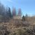 Продам участок 20 соток, Садоводство, Зеленая Долина тер. СНТ, 136 км от города