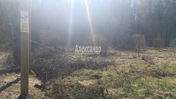 Продам участок 20 соток, Садоводство, Зеленая Долина тер. СНТ, 136 км от города