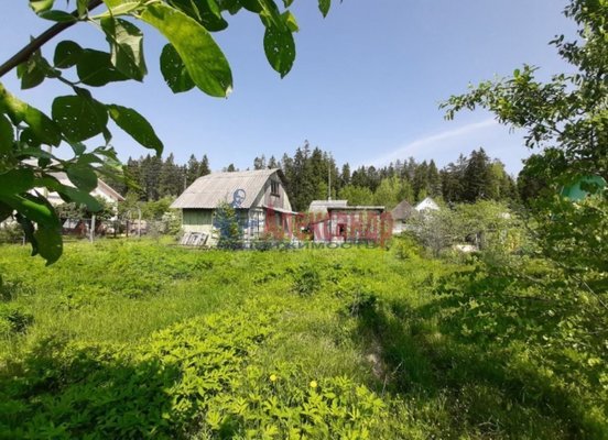 Продам участок 5,7 соток, Садоводство, Локомотив-3 снт, Пальцево п, 136 км от города
