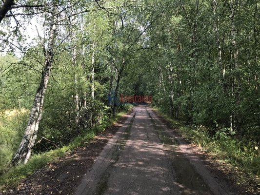 Продам участок 900 соток, ИЖС, Соколинское п, 142 км от города