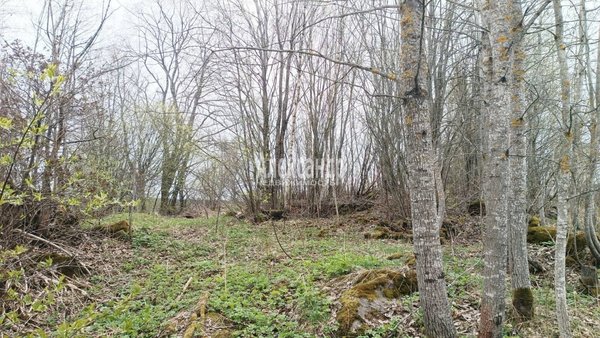 Продам дом, Вокзальная ул, д. 10, Возрождение п. ж/д ст., 150 км от города