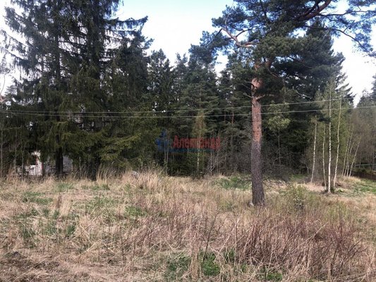 Продам участок 20 соток, ЛПХ, Тихая ул, Соловьевские Дачи тер. СНТ, 140 км от города