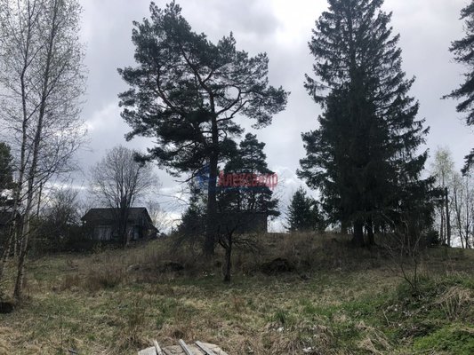 Продам участок 20 соток, ЛПХ, Тихая ул, Соловьевские Дачи тер. СНТ, 140 км от города