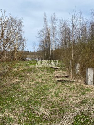 Продам участок 12 соток, ИЖС, Южная ул, Приозерск г, 133 км от города