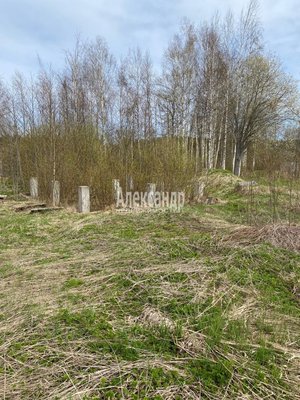 Продам участок 12 соток, ИЖС, Южная ул, Приозерск г, 133 км от города