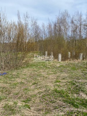 Продам участок 12 соток, ИЖС, Южная ул, Приозерск г, 133 км от города