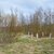 Продам участок 12 соток, ИЖС, Южная ул, Приозерск г, 133 км от города