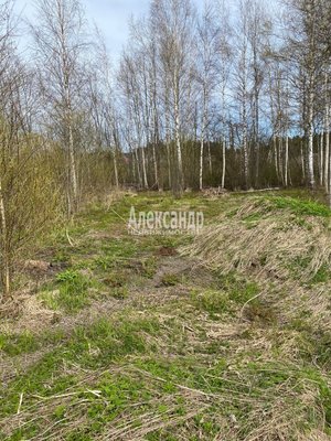 Продам участок 12 соток, ИЖС, Южная ул, Приозерск г, 133 км от города