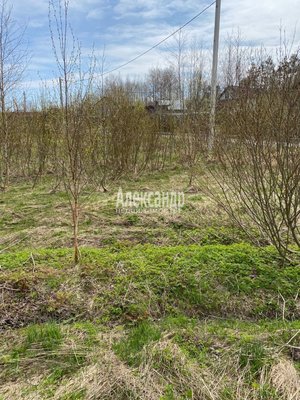 Продам участок 12 соток, ИЖС, Южная ул, Приозерск г, 133 км от города
