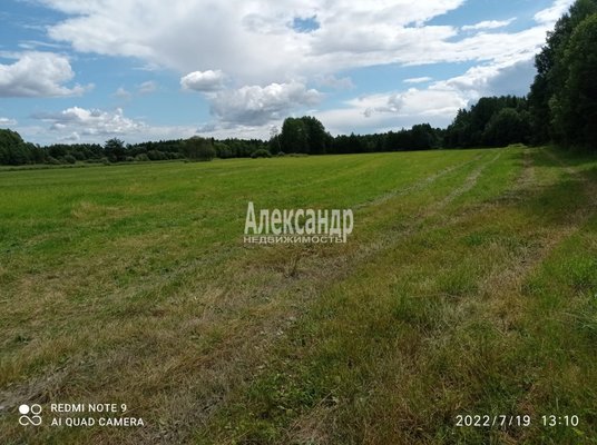 Продам участок 240 соток, Фермерское хоз., Новоселов ул, Мельниково п, 138 км от города