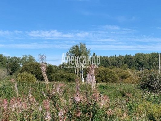 Продам участок 25 соток, ИЖС, Тихая ул, Мельниково п, 133 км от города