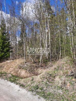 Продам участок 30 соток, Садоводство, СНТ Алмаз массива Березово тер, 140 км от города