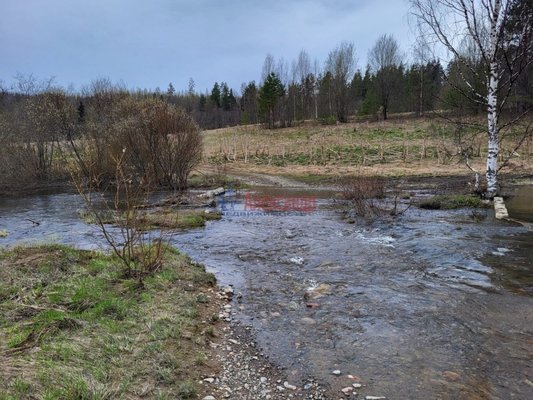 Продам участок 194,6 соток, ЛПХ, Лавиярви п, 230 км от города