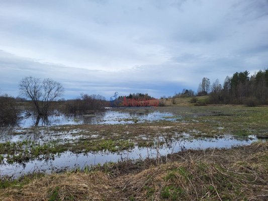 Продам участок 194,6 соток, ЛПХ, Лавиярви п, 230 км от города