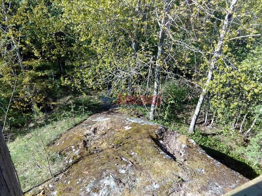 Продам дом, д. 32, Гидрогородок п, 250 км от города