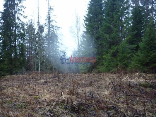 Продам участок 130 соток, ИЖС, Сорье п, 190 км от города