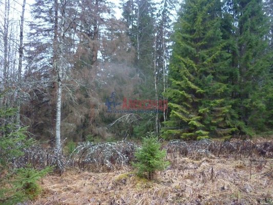 Продам участок 130 соток, ИЖС, Сорье п, 190 км от города