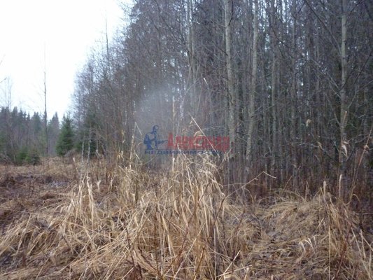 Продам участок 130 соток, ИЖС, Сорье п, 190 км от города