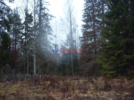 Продам участок 130 соток, ИЖС, Сорье п, 190 км от города
