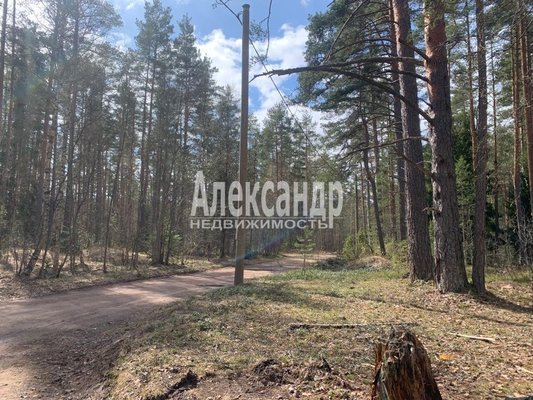 Продам дом, Лесная ул, Озерки д, 97 км от города