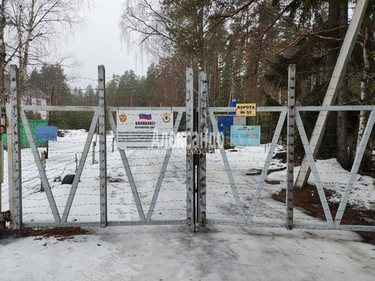 Продам участок 20 соток, ЛПХ, Бор п, 170 км от города