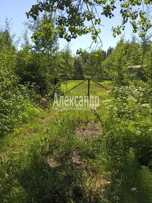 Продам участок 12 соток, ИЖС, Раппатила ул, д. 94, Выборг г, 156 км от города