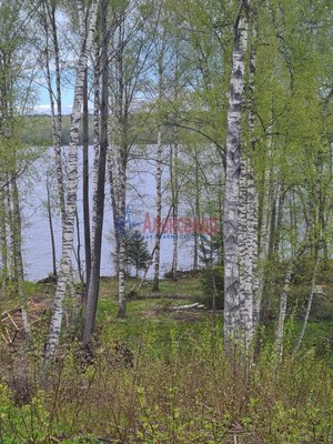 Продам участок 27 соток, ИЖС, Клеверное п, 90 км от города