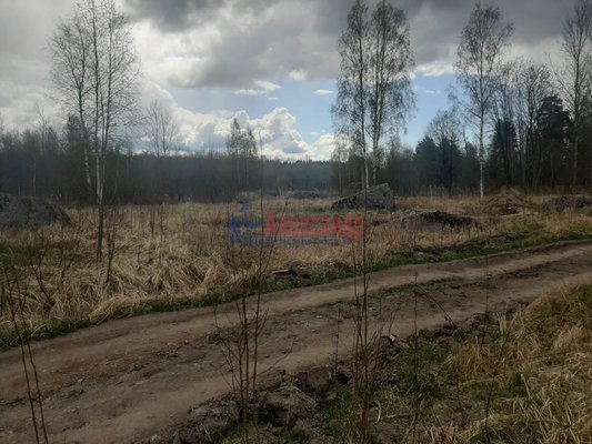 Продам участок 12 соток, ИЖС, Раппатила ул, Выборг г, 154 км от города