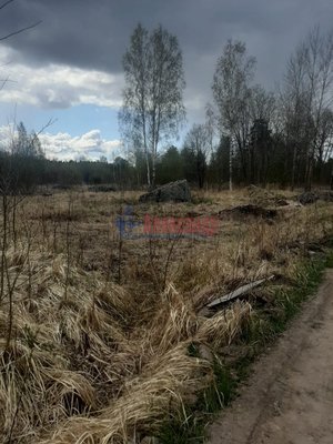 Продам участок 12 соток, ИЖС, Раппатила ул, Выборг г, 154 км от города