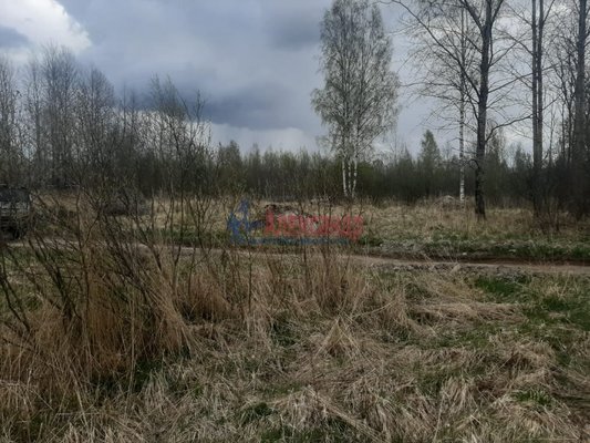 Продам участок 12 соток, ИЖС, Раппатила ул, Выборг г, 154 км от города