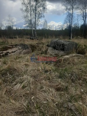 Продам участок 12 соток, ИЖС, Раппатила ул, Выборг г, 154 км от города