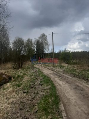 Продам участок 12 соток, ИЖС, Раппатила ул, Выборг г, 154 км от города