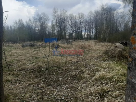 Продам участок 12 соток, ИЖС, Раппатила ул, Выборг г, 154 км от города