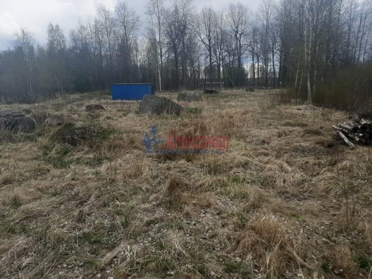 Продам участок 12 соток, ИЖС, Раппатила ул, Выборг г, 154 км от города