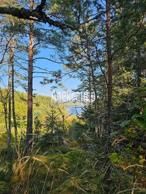 Продам дом, сот Мебельщик кв-л, Сортавала г, 280 км от города