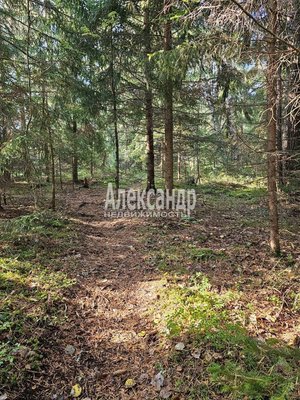 Продам дом, сот Мебельщик кв-л, Сортавала г, 280 км от города