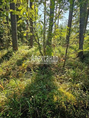 Продам дом, сот Мебельщик кв-л, Сортавала г, 280 км от города