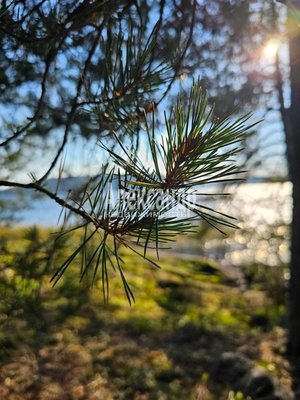 Продам дом, сот Мебельщик кв-л, Сортавала г, 280 км от города