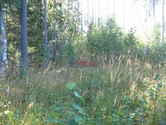 Продам участок 15 соток, ИЖС, Нива с, 53 км от города