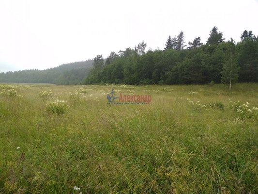 Продам участок 319,75 соток, Фермерское хоз., Микли п, 220 км от города